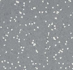 Линолеум Forbo Sphera Sd 550005 dark neutral grey фото 1 | FLOORDEALER